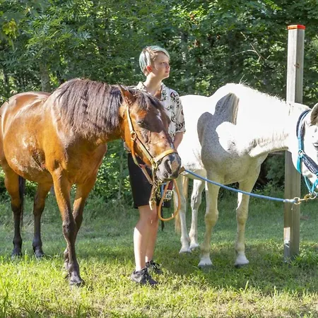 Avec Animaux Admis - 5 Pers. - Api-1-52-2316 *
